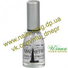 TM Magnetic (�� ��������) Magnetic Quick Dry Top Coat 15 ml. �������� �������� '������� �����' 15 �� ������ ������� 