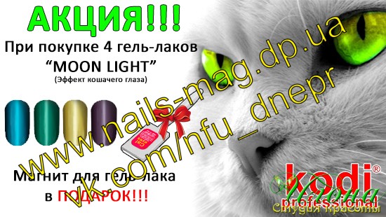 TM Kodi Professional (�� ����) �����!!! 4 ����-���� �MOON LIGHT� + ������ � ������� ������ ������� 